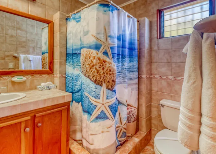 Bahia Pez Vela Resort: Ocean-view *